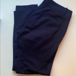 Navy Blue Minnie Riding Pant